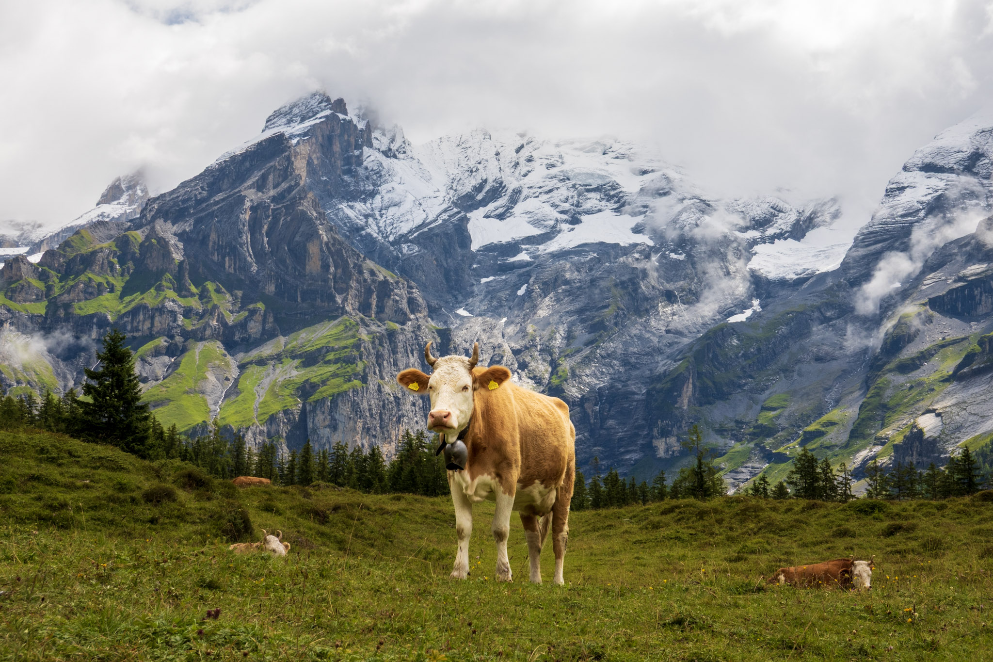Switzerland - Photo 3